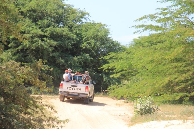 Combi Relax Tour - Sal Rei combines a short town walk with lunch