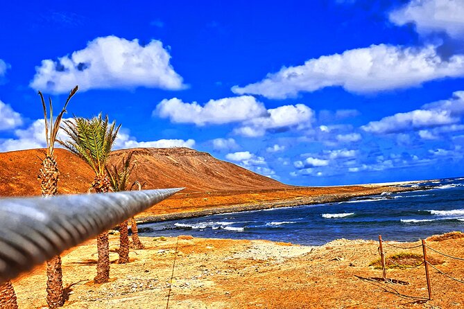 Complete Excursion and Flight on the Zipline Cabo Verde - Is the $56.77 price good value?
