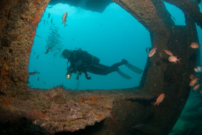Discover Scuba Diving in Sal - Why the small group matters for beginners
