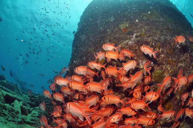Discover Scuba Diving in Sal - Practical planning for your day in Santa Maria