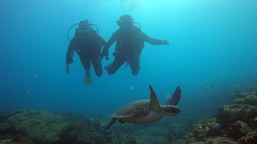 Discover Scuba Diving Program for Beginners - What this Boa Vista scuba introduction really offers