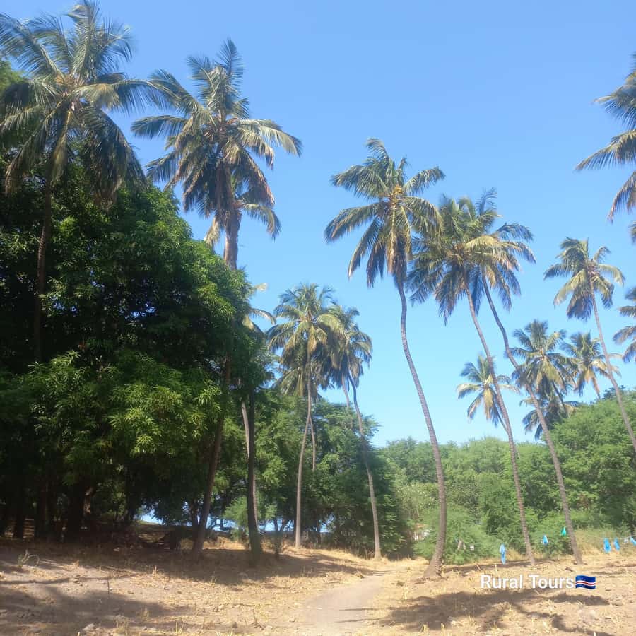 Discover the Black Sand Beach+the Natural Pool - A glimpse of village life