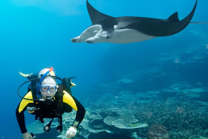 Double Diving in Sal Island - Half Day - Booking, weather, and cancellation details