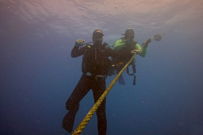 First Diving Experience Try Dive - What the afternoon feels like in practical terms