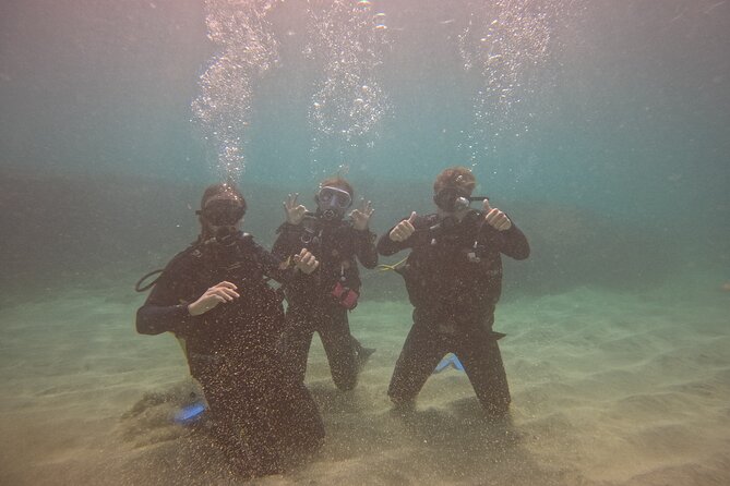 First Diving Experience Try Dive - The strongest reason to choose it