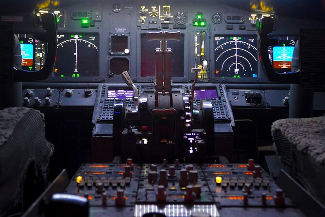 Flight Simulation Experience - A useful choice between real and virtual flying