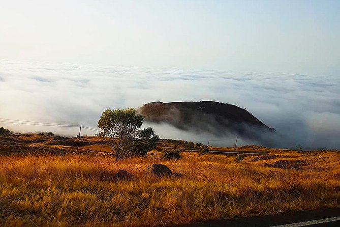 Fogo Island: Spectacular Vulcano HIking Experience(2829 m) - Who should book this Fogo volcano hike?
