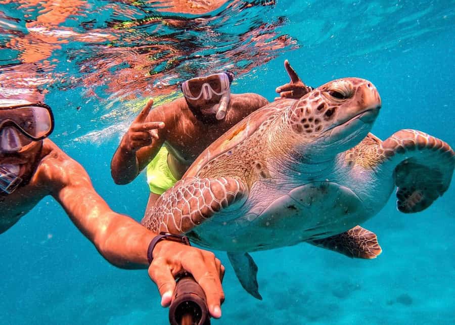 From Mindelo: São Vicente's Enchanting Sea Turtle Snorkeling - From Mindelo to São Pedro by Road