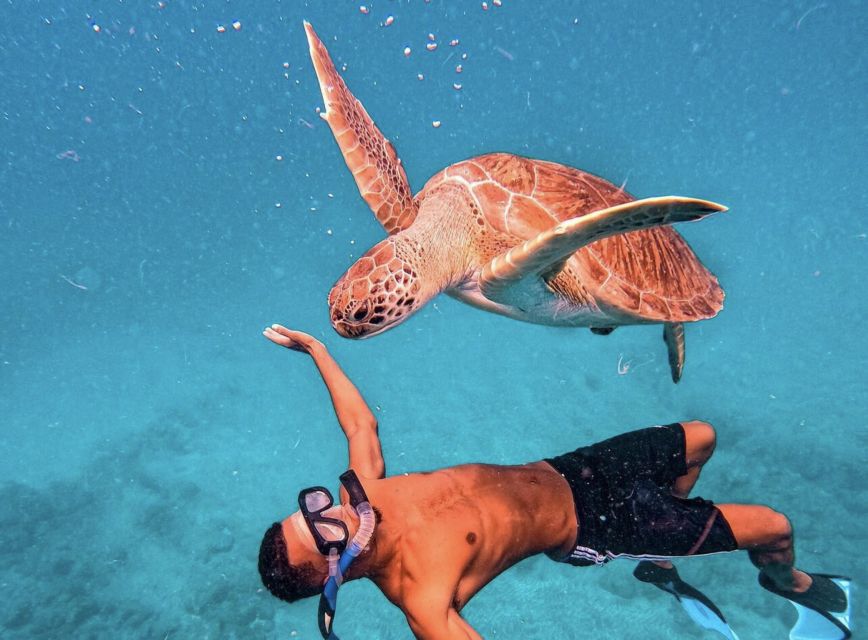 From Mindelo: São Vicente's Enchanting Sea Turtle Snorkeling - Is the $70 Price Fair?