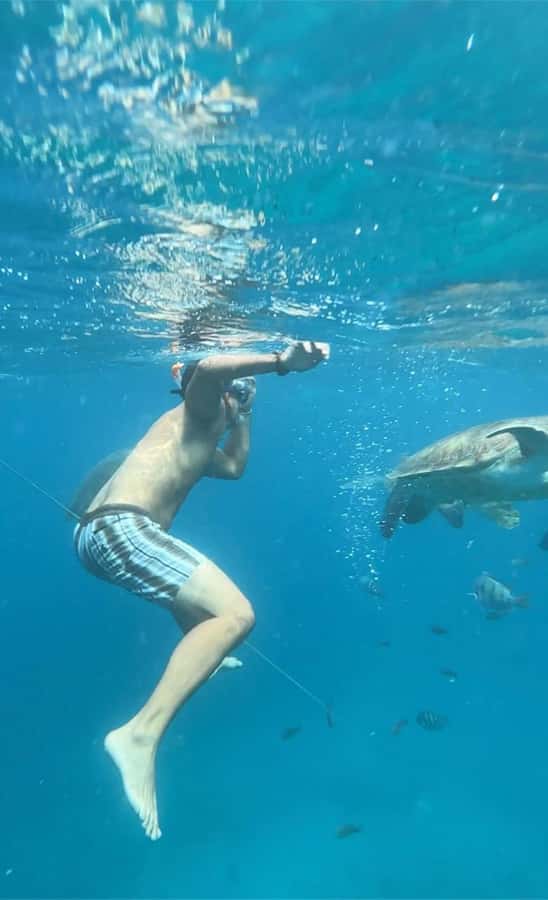 From Mindelo: Snorkel and Swim with Sea Turtles - Who should book this experience