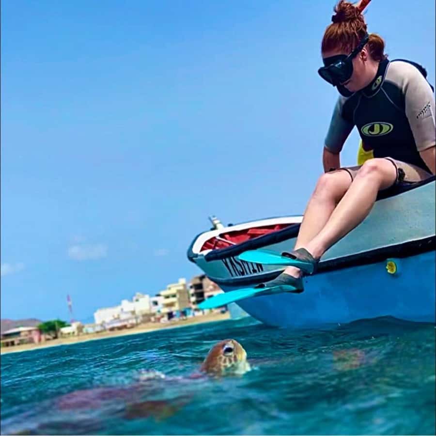 From Mindelo: Snorkel and Swim with Sea Turtles - Booking details that matter