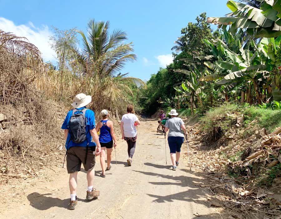 From Praia: Banana Plantation Tour and Cuscuz Workshop - Who should book this experience?