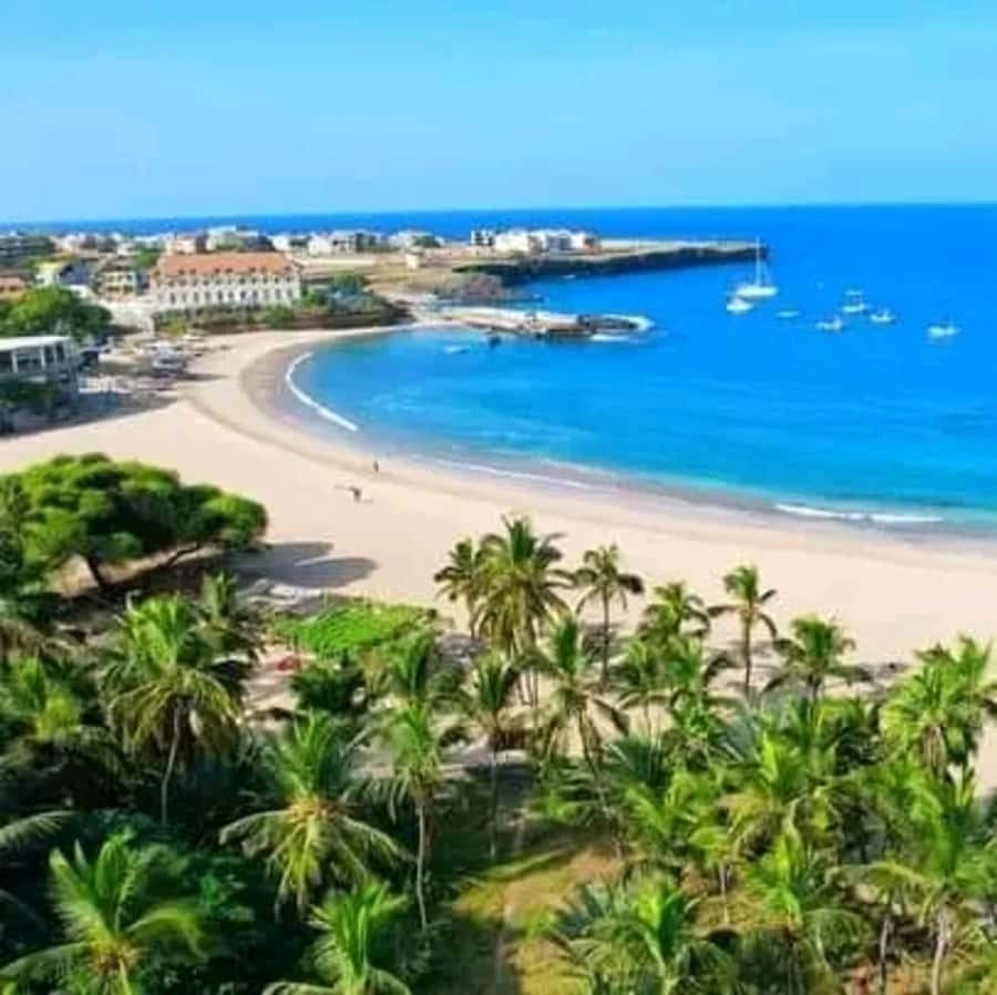 From Praia: Explore the island with local Tour guide - Why this Santiago Island day trip works