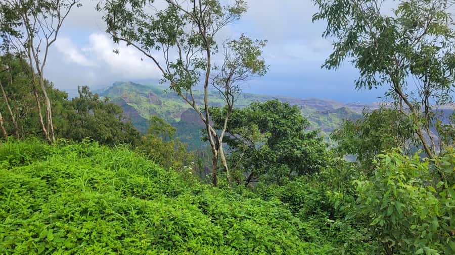 From Praia: Explore the island with local Tour guide - Serra Malagueta at 800 meters