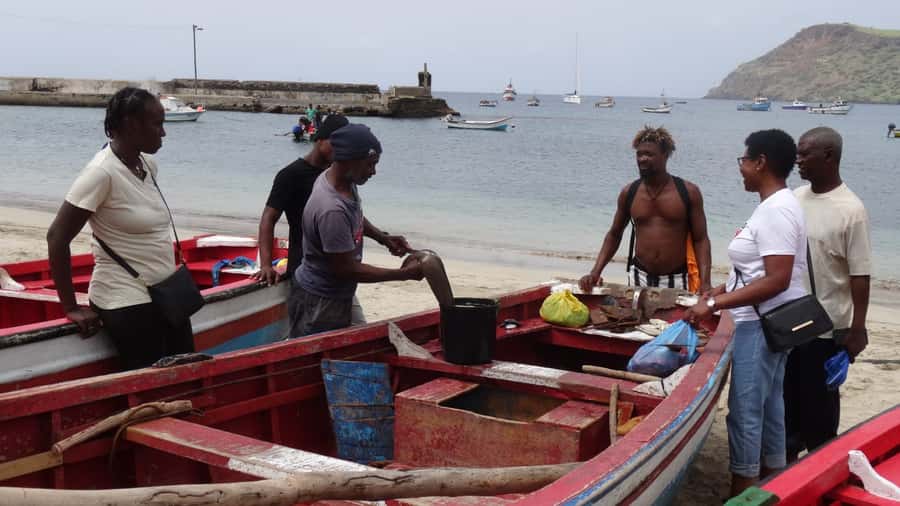 From Praia: Explore the island with local Tour guide - Group size, timing, and what to pack