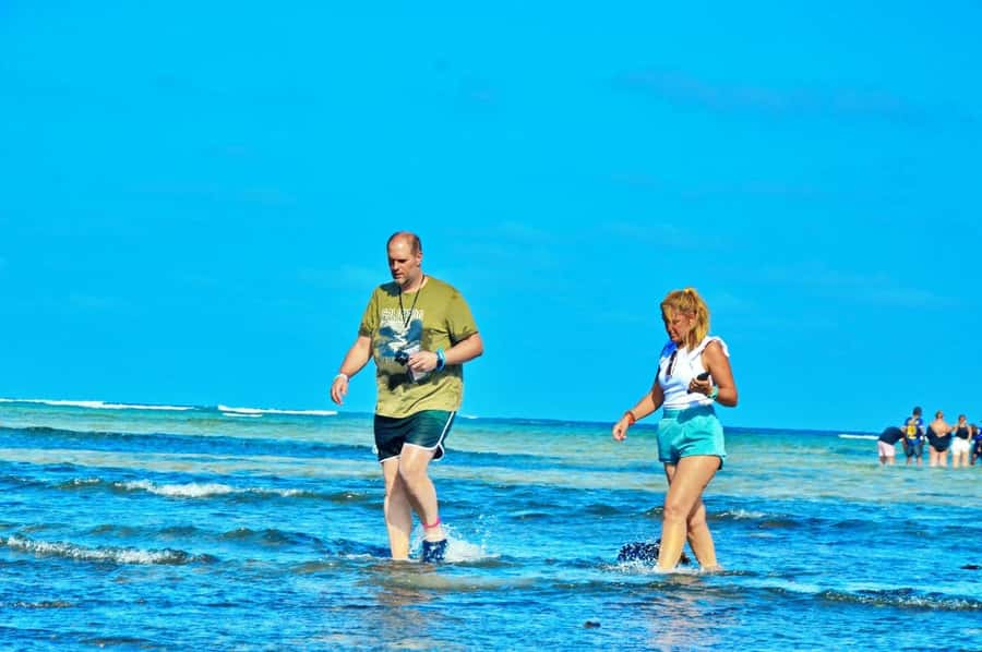 From Sal Island: Blue Eye, Salt Lake, Lemon Sharks, Palmeira - Key points to know before booking