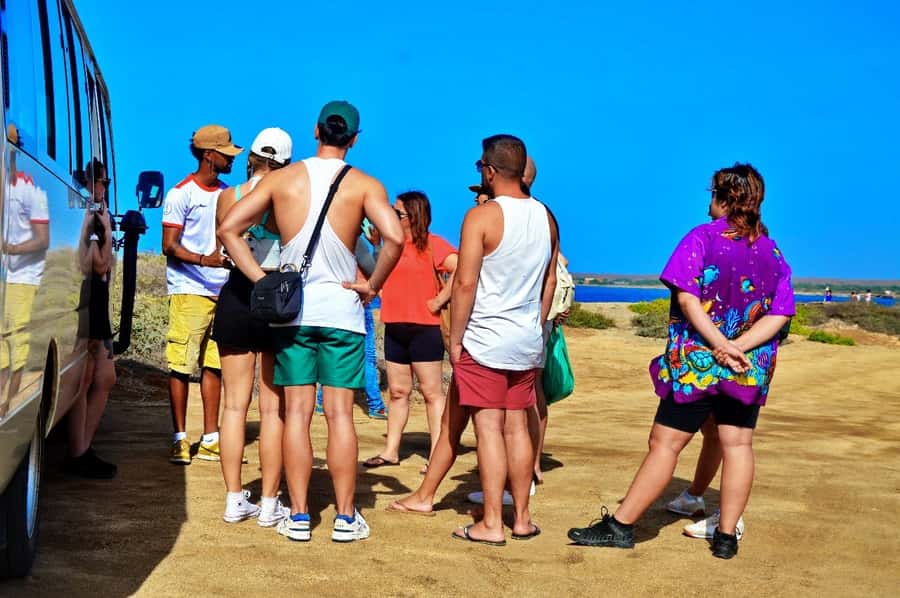 From Sal Island: Blue Eye, Salt Lake, Lemon Sharks, Palmeira - Transport, guides, and the feel of the day