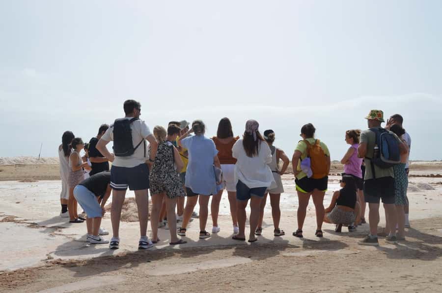 From Sal Island: Blue Eye, Salt Lake, Lemon Sharks, Palmeira - Why this Sal Island tour works so well