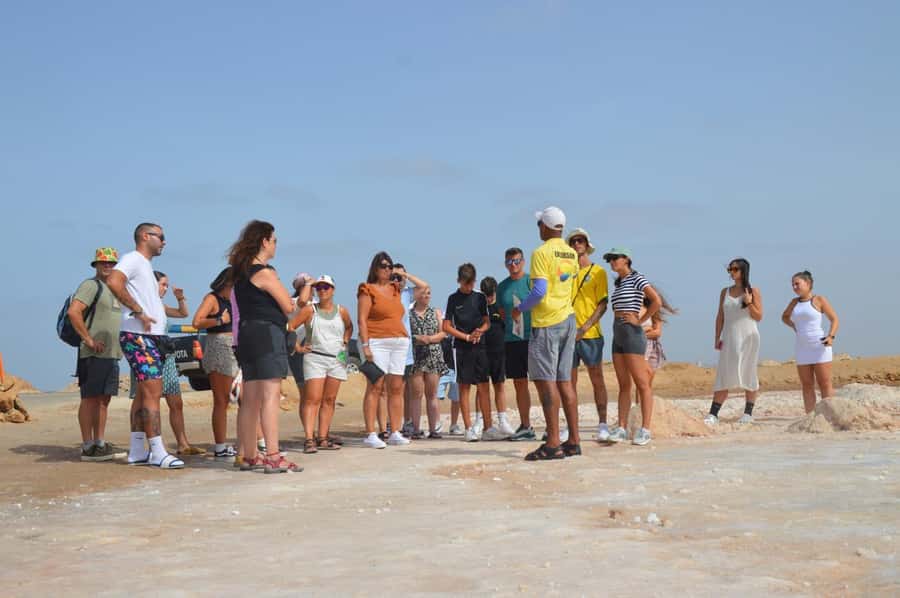 From Sal Island: Blue Eye, Salt Lake, Lemon Sharks, Palmeira - Shark Bay is the day’s most unusual stop