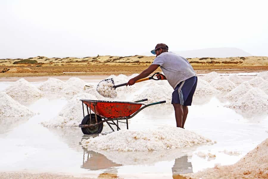 From Santa Maria: Sal Island Private Day Trip - Palmeira offers a taste of island life