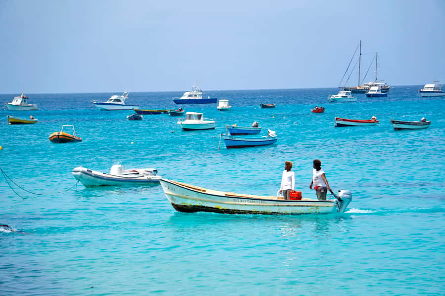 From Santa Maria: Sal Island Private Day Trip - What to bring and what to pay