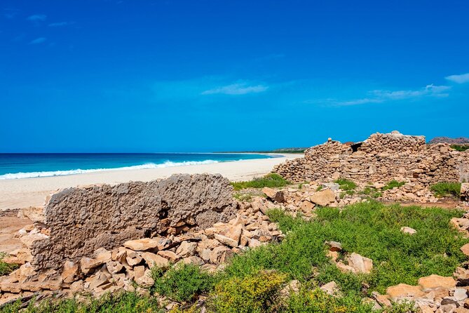 Full Day Boa Vista Island Guided 4X4 Tour with Beachfront Lunch - Riding over the Viana desert dunes