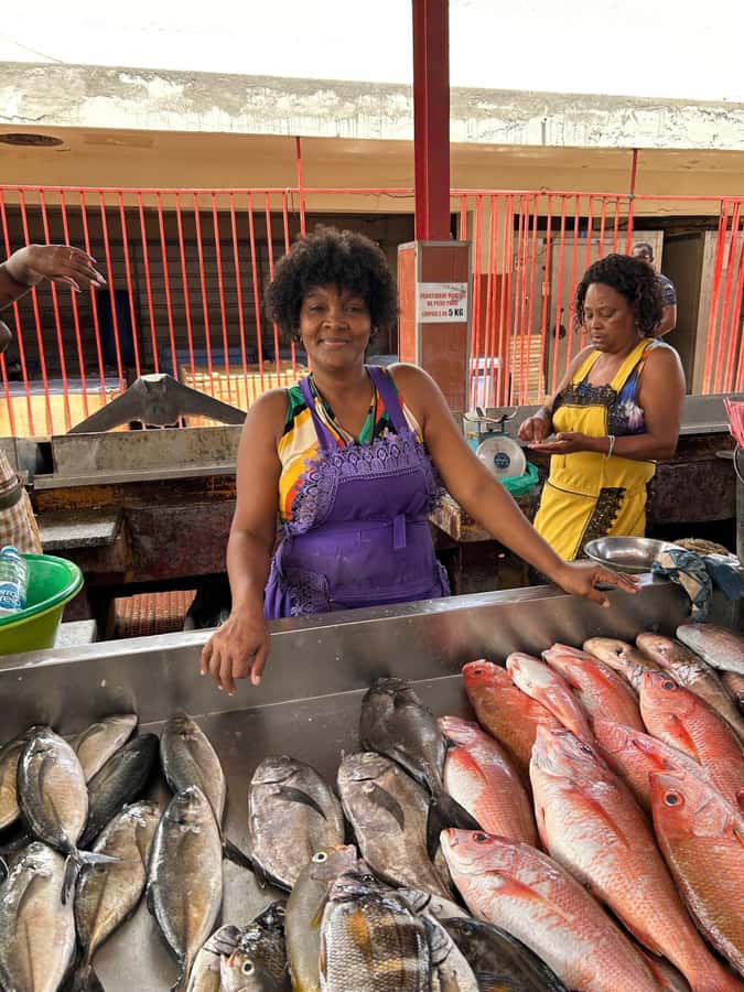 Full Day Island Tour, São Vicente, Mindelo, Highlights - Mindelo begins with forts, markets, and music