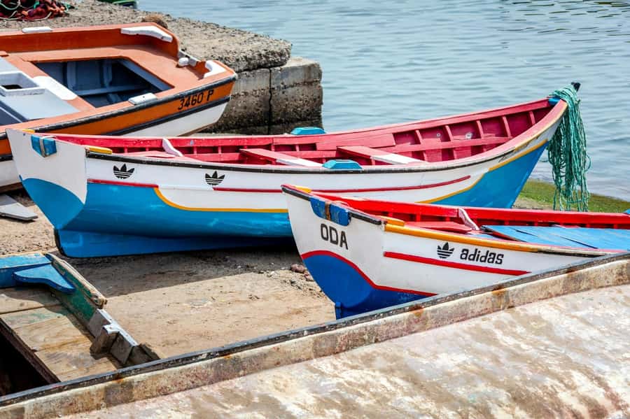 Full Day Postcards of Sal Tour with Kite Beach and Lunch - Key points to know before booking