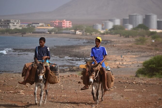 Full Day Sal Island Tour in Santa Maria - Pedra de Lume combines salt and scenery
