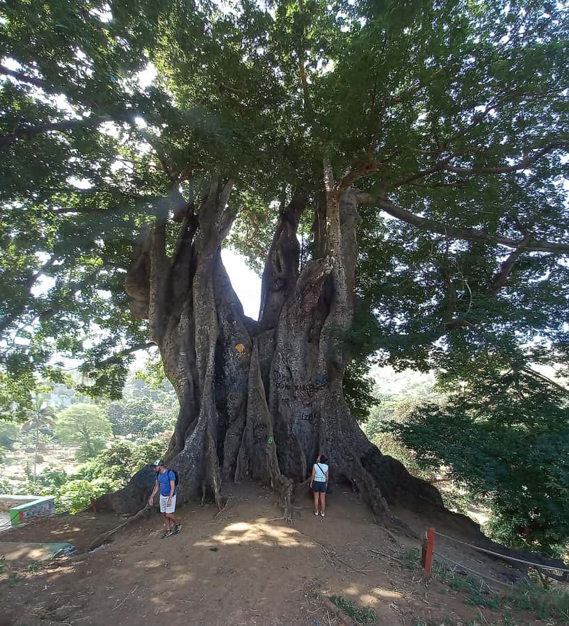 Full-Day Santiago – Villages, Nature & Local Culture - Assomada Market and the island’s everyday rhythm