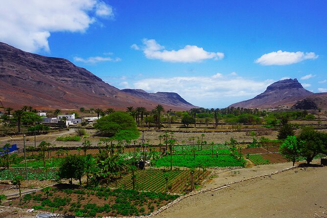 Full-Day São Vicente Island Experience with a Local Guide - Salamansa lunch and the cost of slowing down