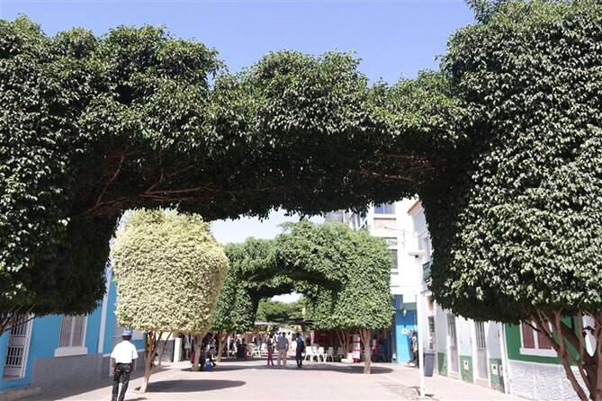 Guided city Tour Praia, Highlights tour - Who will get the most from this walk