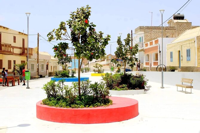 Guided Full Day Island Tour in Boa Vista with Lunch - Santa Monica Beach and the first taste of the coast