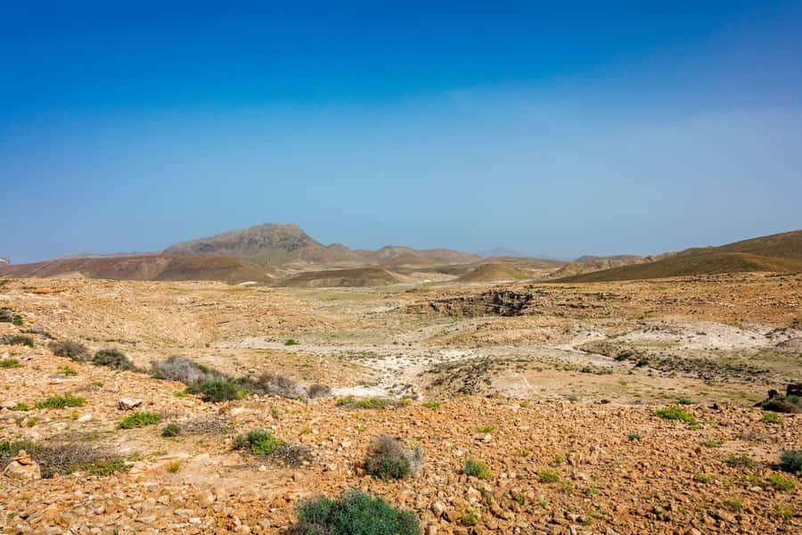 Half Day 4x4 Tour with Viana Desert and Villages - Is $49 a fair price?