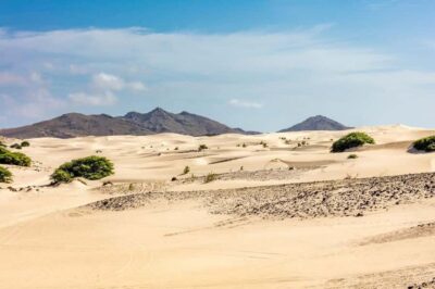 Half Day 4×4 Tour with Viana Desert and Villages