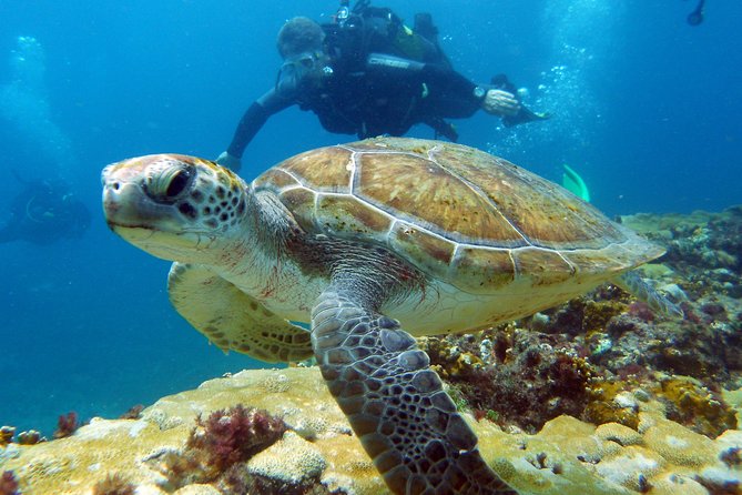 Half-Day Diving in Sal - The first session reaches up to 35 meters