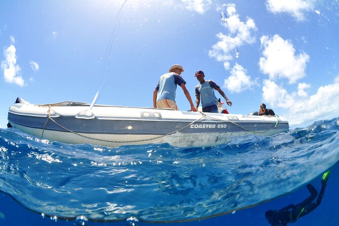 Half-Day Diving in Sal - A small group helps, but ask about your group