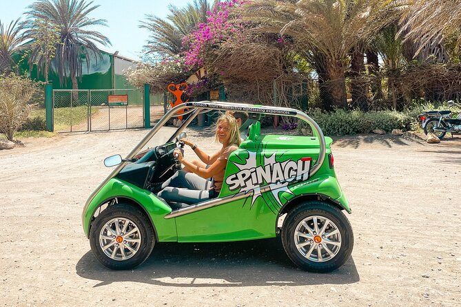 Half-day Electric Car Rental in Santa Maria - Should you book the Spinach electric car?