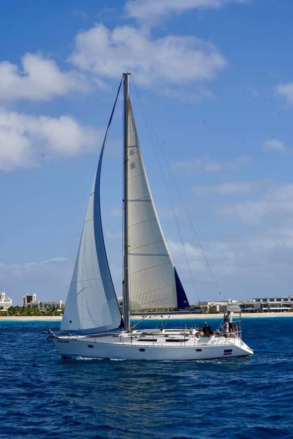 Half-Day Sailing Yacht Adventure in Sal Island - 3 hours - Wildlife is a bonus, not the reason to book