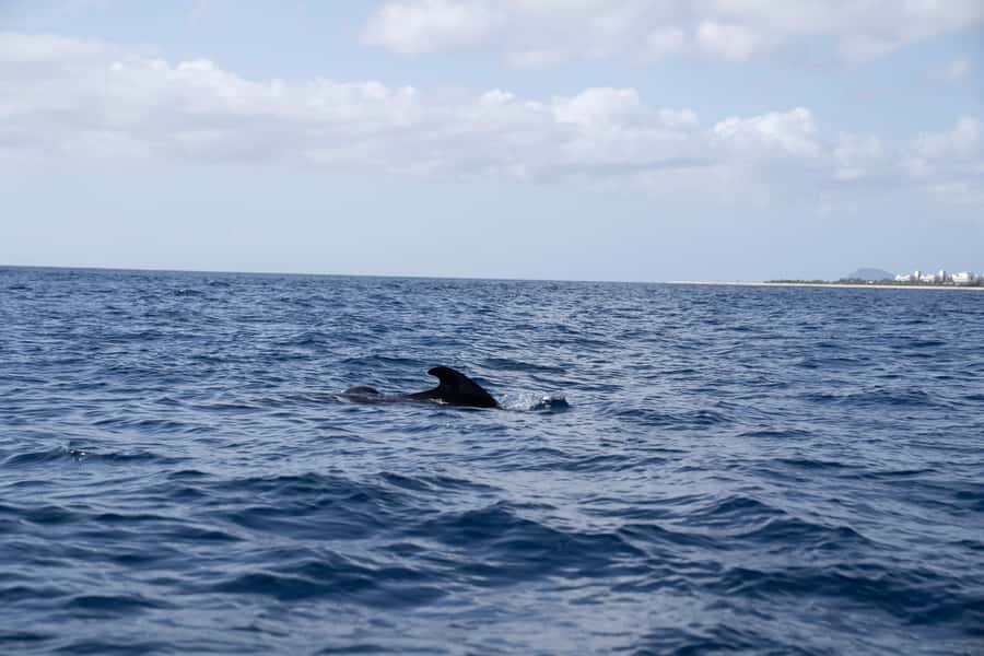 Half-Day Sailing Yacht Adventure in Sal Island - 3 hours - Lucy is for genuine sailing, not a party boat