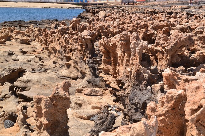 Half-Day Sal Island Tour with Shark Experience from Santa Maria - Palmeira, Sal’s colorful port village