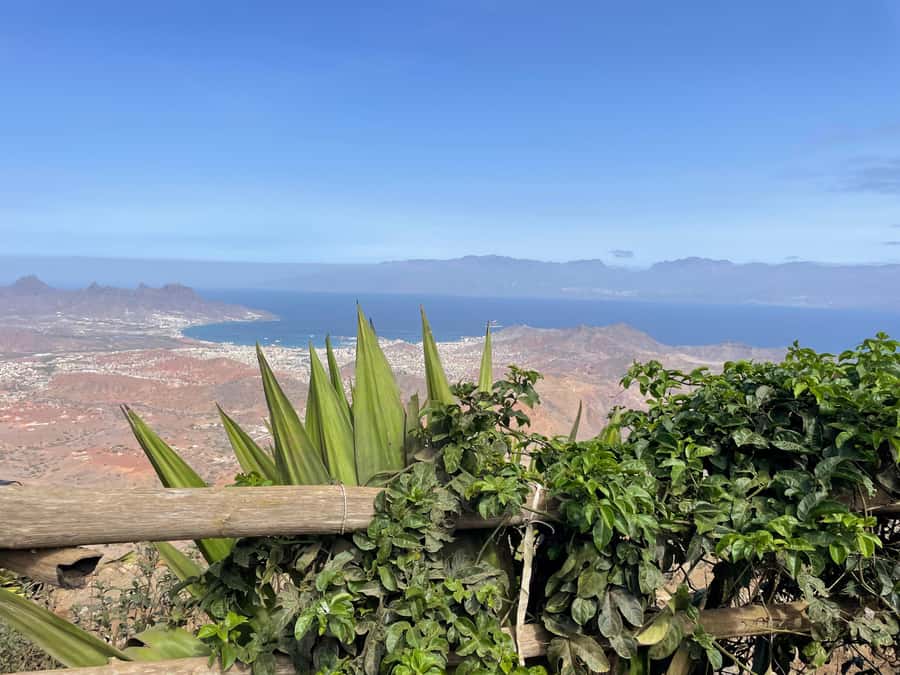 Hike Monte Verde - Why Monte Verde feels different from the rest of São Vicente