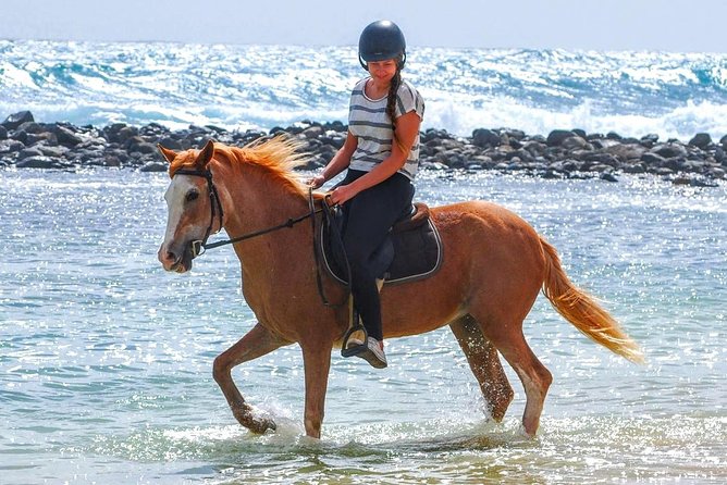 Horse Riding in Sal Island - Cabo Verde - Sal horseback riding at a glance