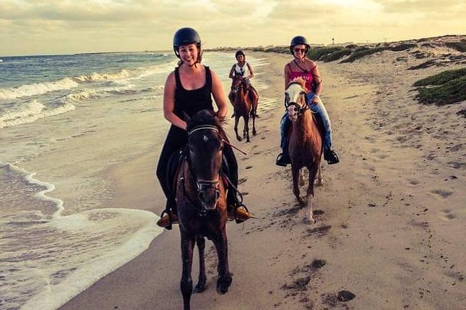 Horse Riding in Sal Island - Cabo Verde - Starting at Viveiro Botanical Gardens