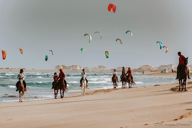 Horse Riding in Sal Island - Cabo Verde - Two hours across Sal’s open country