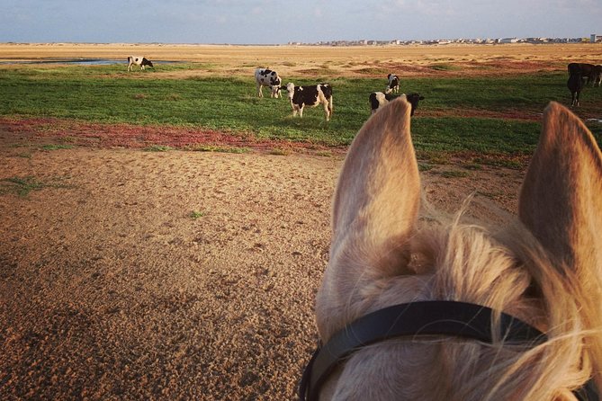 Horse Riding in Sal Island - Cabo Verde - What to wear and what to leave behind