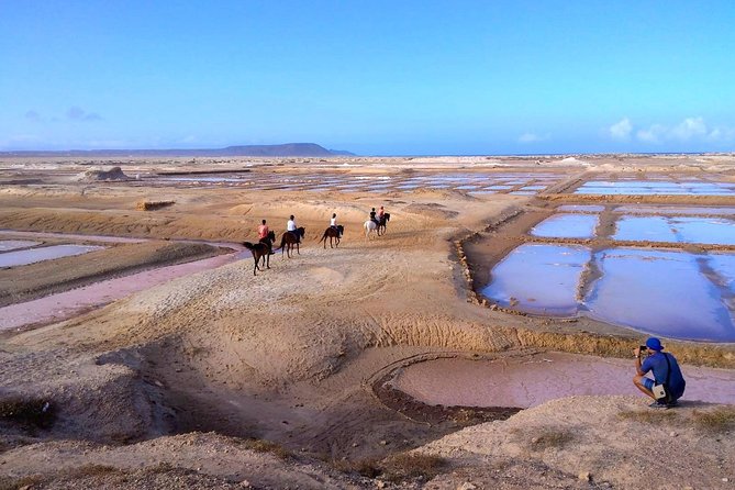Horse Riding in Sal Island - Cabo Verde - Who should book this ride