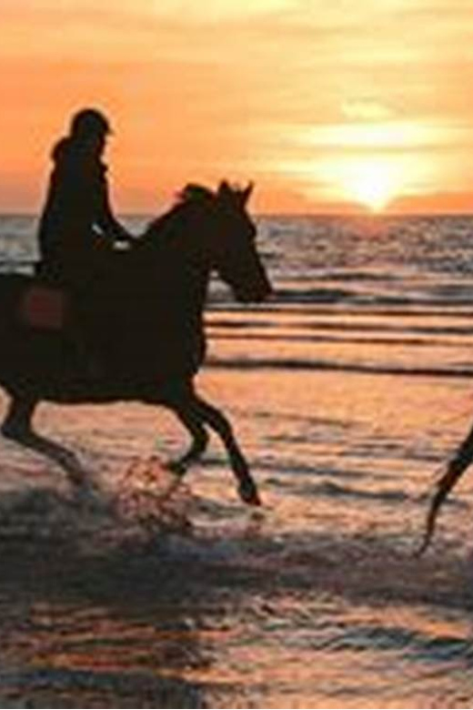 Horseback riding in Boavista for beginners - Key points before you book