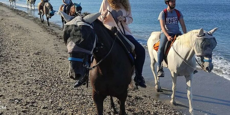 Horseback riding in Boavista for beginners - What the Boa Vista ride feels like