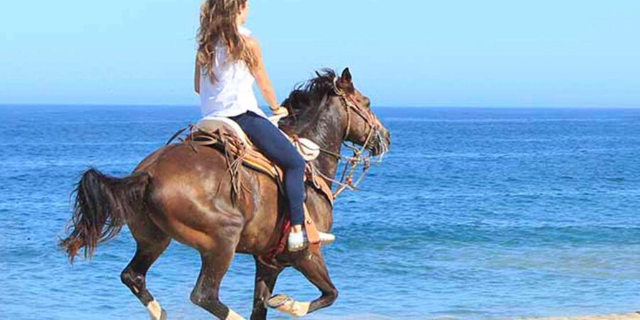 Horseback riding in Boavista for beginners - A gentle introduction for first-time riders